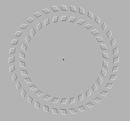ruota-illusione.jpg